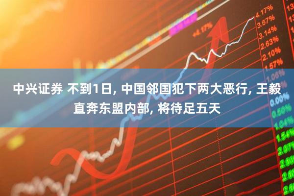 中兴证券 不到1日, 中国邻国犯下两大恶行, 王毅直奔东盟内部, 将待足五天