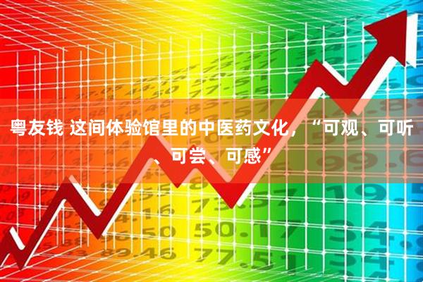 粤友钱 这间体验馆里的中医药文化，“可观、可听、可尝、可感”